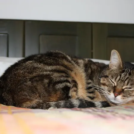 Il Pozzo Di Vivalpa Bed & Breakfast Serra deʼ Conti