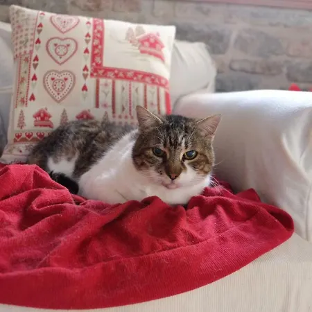 Il Pozzo Di Vivalpa 3*