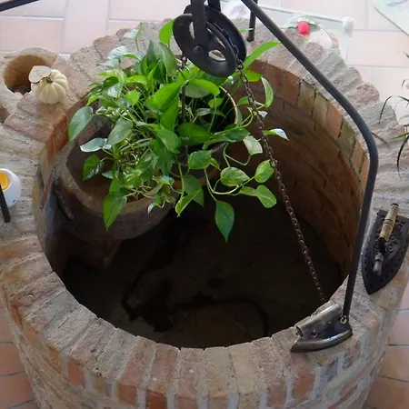 Il Pozzo Di Vivalpa Bed & Breakfast Serra deʼ Conti